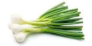 Onion Green