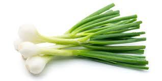 Onion Green