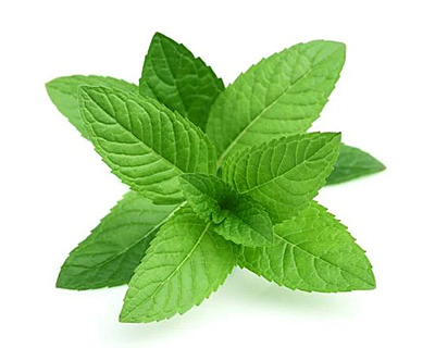 Mint