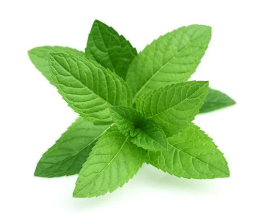 Mint