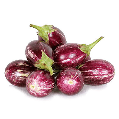 BRINJAL(Chuchu)