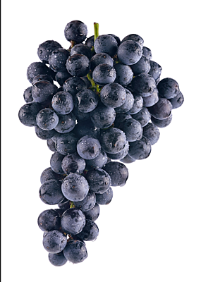 Black Grapes