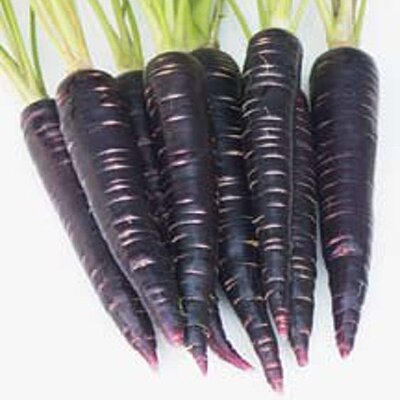 Carrot - Black