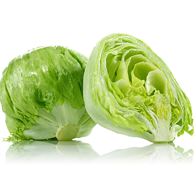 Iceberg Lettuce