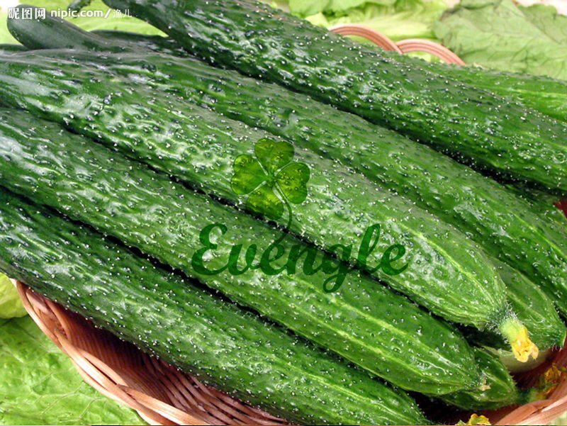 Cucumber Chinese