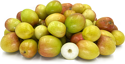 Ber (Indian Jujube)