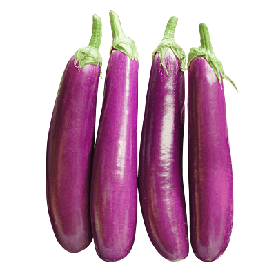 brinjal Long