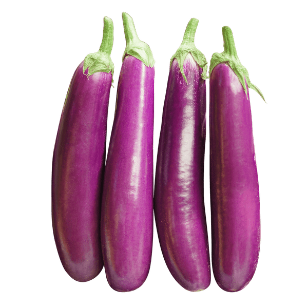 brinjal Long
