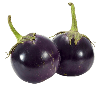 BRINJAL(MEDIUM)