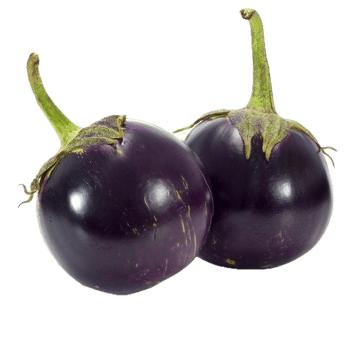 BRINJAL(MEDIUM)