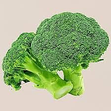 Broccoli
