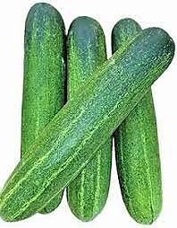 Cucumber Hybrid (Kheera - Hybrid)