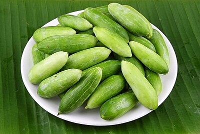 Gerkin (Kundru )