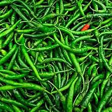 GREEN CHILLI(Small)