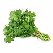 GREEN CORIANDER(Hara Dhaniya)