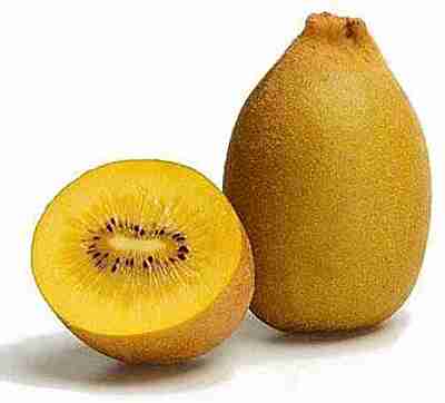 KIWI ZESPERI-GOLD