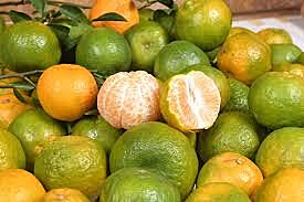 Oranges (Nagpur)