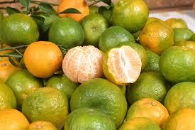 Oranges (Nagpur)
