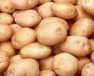 Potato(Pahadi)