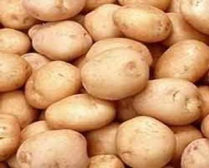 Potato(Pahadi)