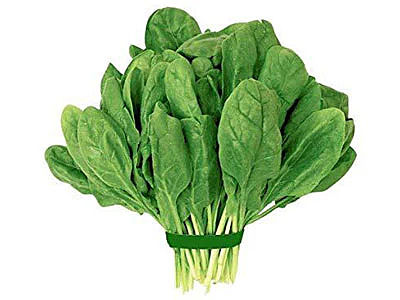 Spinach (Palak)