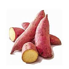 Sweet Potato